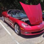 StElizabeth_0022 (June 13, 2014)